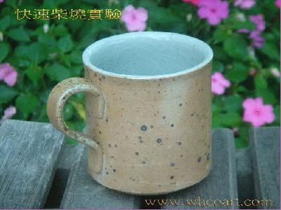 快速柴燒作品