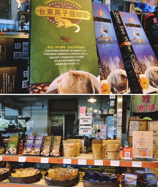 【台東果子狸】竹香咖啡豆(半磅)