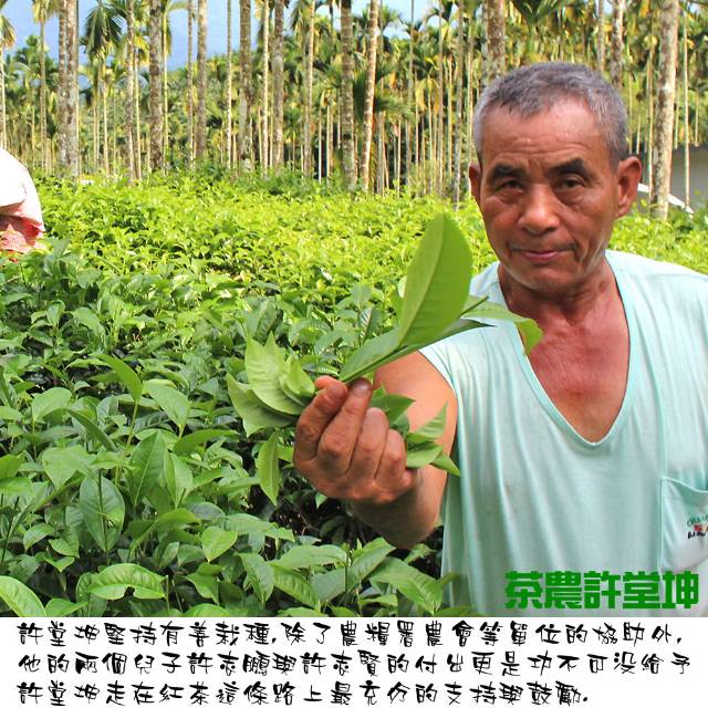 【南投魚池鄉/香茶巷40號】阿薩姆紅茶150g(台茶8號/紙罐)